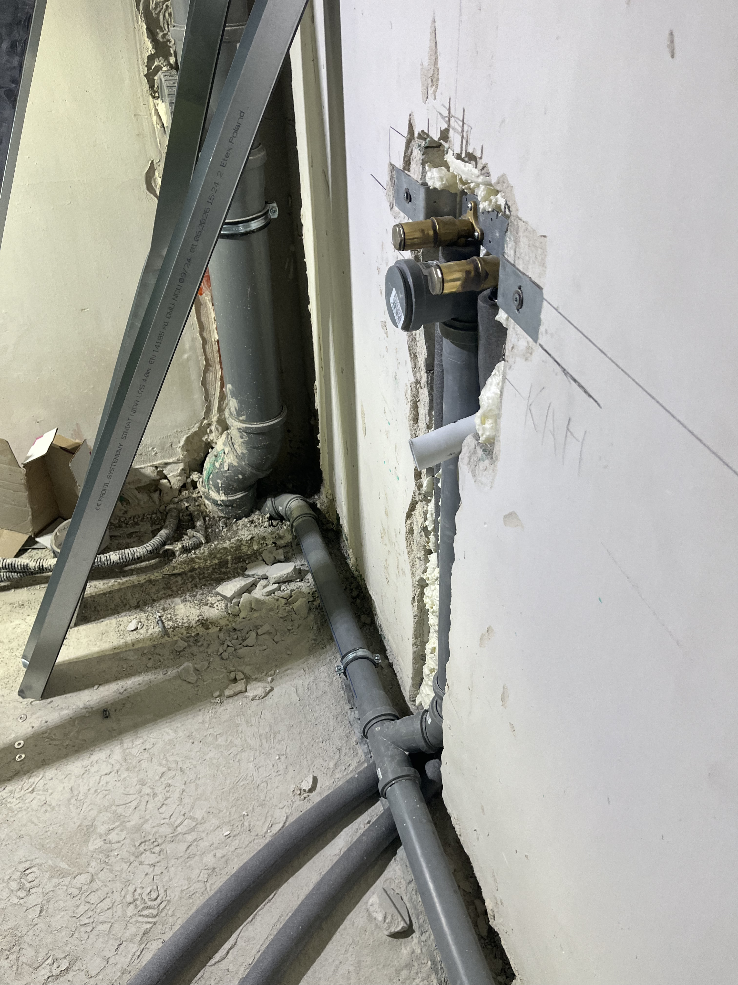 IMG_7673.jpg